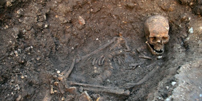 В Омской области, в деревне Тармакла, на территории заброшенной усадьбы отыскали скелет