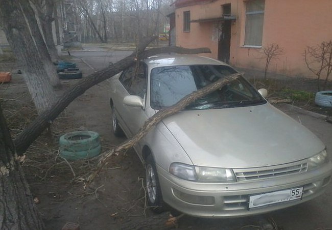 В Омске деревья обрушились на автомобили
