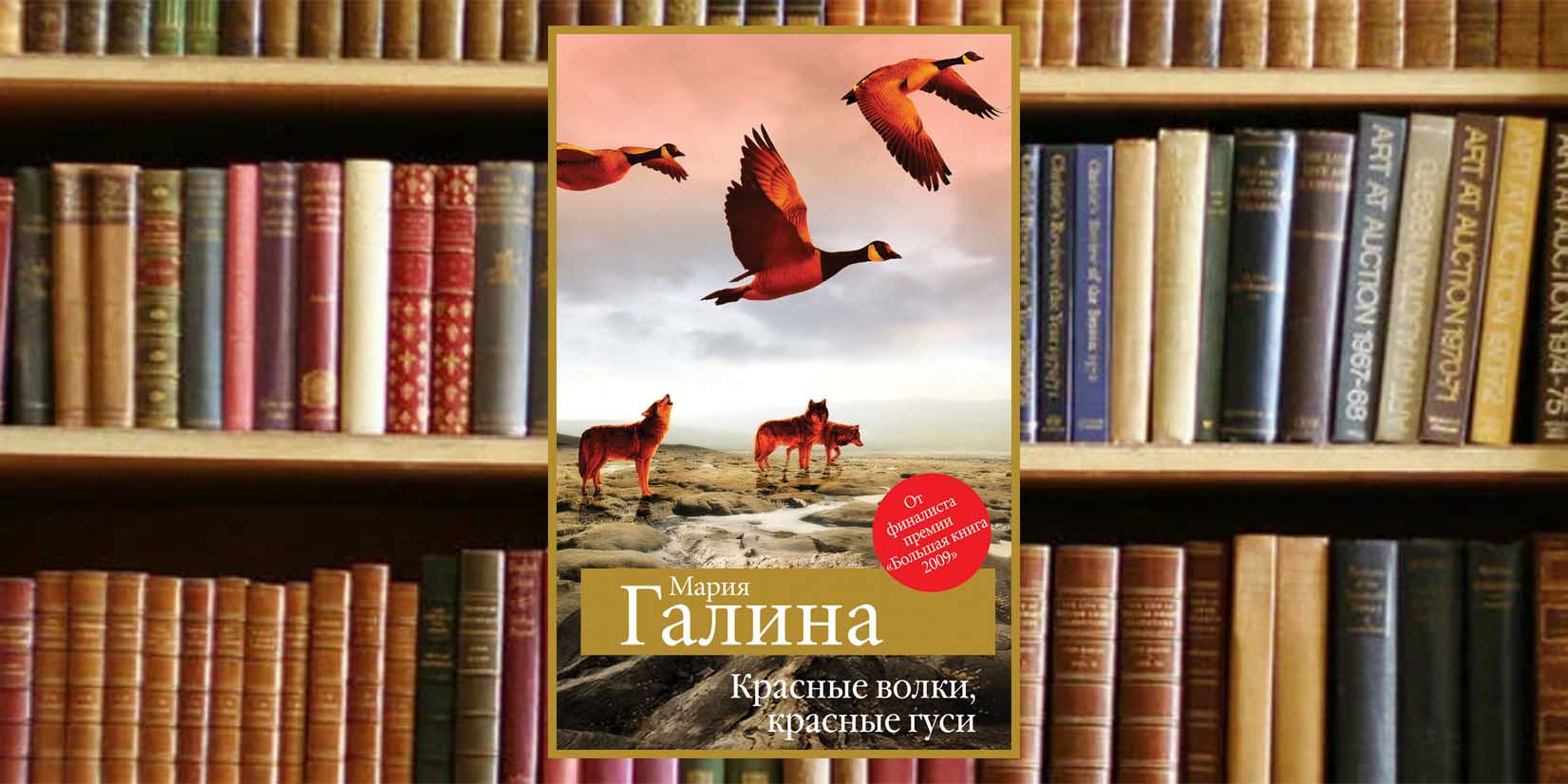 Книжный клуб: «шорох кожистых крыл»
