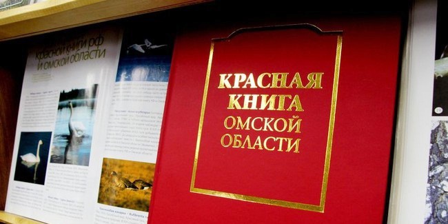 Гадюка, уж и соловей: объявлен конкурс по уточнению Красной книги Омской области, который в прошлом году не был исполнен