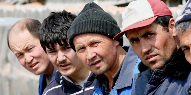 В Омской области изучат трудовую миграцию