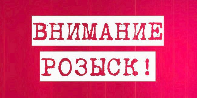 В болотистых лесах вторые сутки ищут пропавшего омского министра (обновлено)