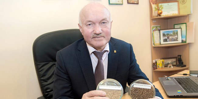Созданные в Омске фиолетовая пшеница и пшеница из сорняка пырея названы в числе ярчайших достижений российской науки