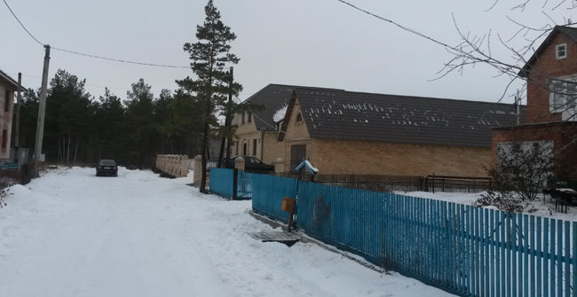 Таврическое городское поселение накрыло лесом