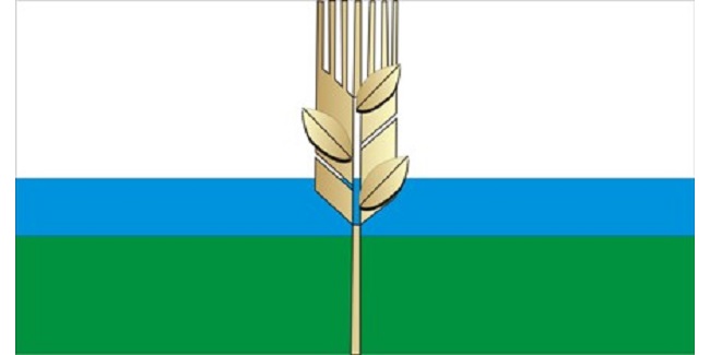 feature-image