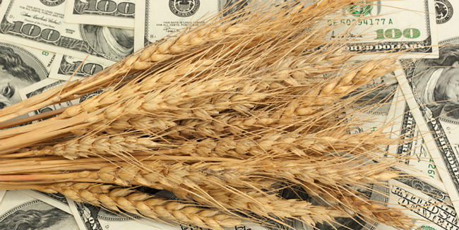 В Омске завершено расследование дела о махинациях при сделках по купле-продаже зерна