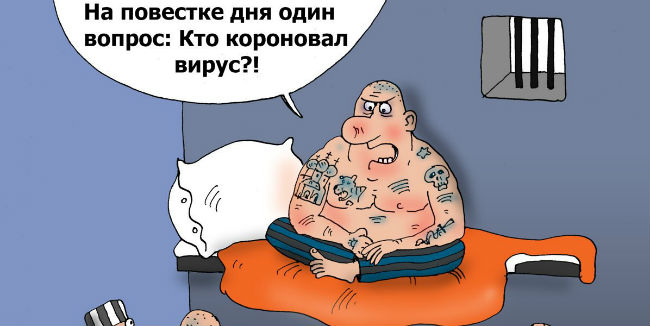 Мэрия омска: городской музей приглашает всех желающих на антивирусную выставку