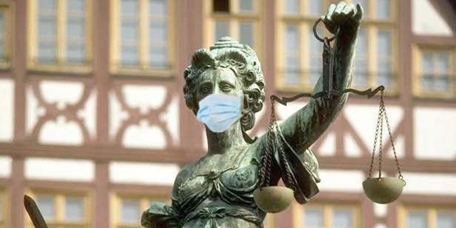 Прокуратура только через суд обязала власти ликвидировать тайный скотомогильник «фортуны»