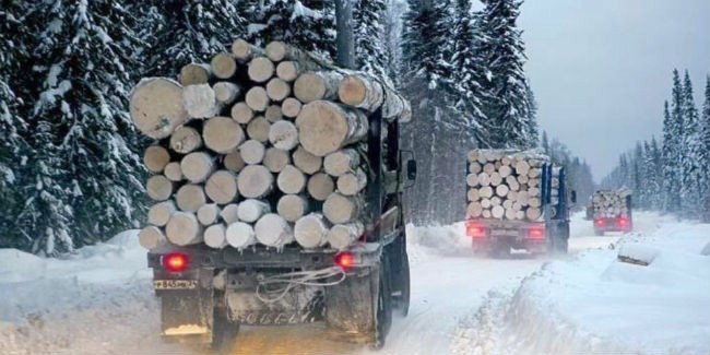 Лесного коммерсанта ходжамкулова обвинили в подкупе омского полицейского