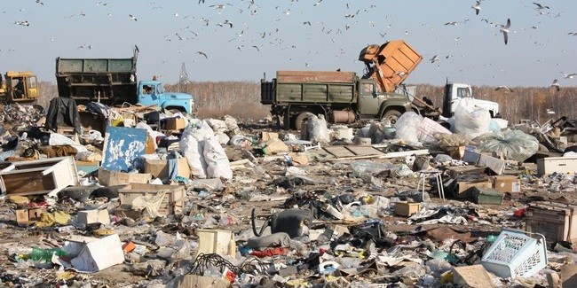 Теперь за сброс мусора с транспортного средства вне свалки грузовик могут конфисковать