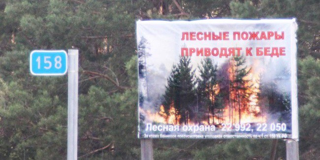 С весны следующего года устанавливаются новые «Правила тушения лесных пожаров»