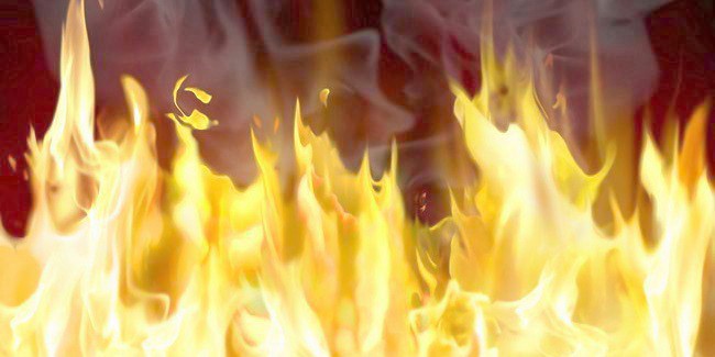 При пожаре двухквартирного дома в селе Александровка Омской области погиб мужчина