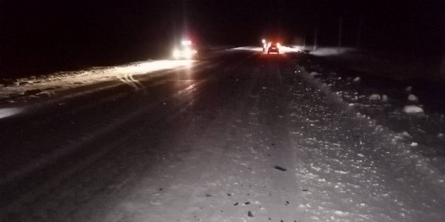 На трассе Калачинск – Оконешниково водитель автомобиля Peugeot сбил насмерть пешехода