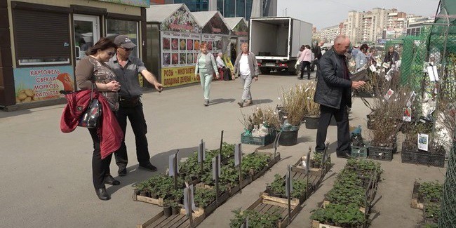 В Омске завершается приём заявок на бесплатные места для торговли в ярмарках «Весенний сад»