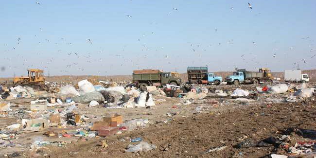 В Омске недельная сумма штрафов за нарушение утилизации мусора и автошин установила рекорд