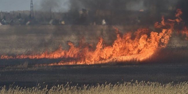 Нарушителей противопожарного режима лишат субсидий из бюджета Омской области