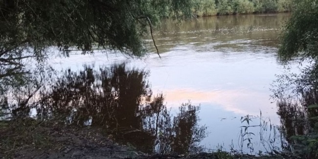 В Омске водитель гидроцикла вылетел на берег, врезался в дерево и погиб