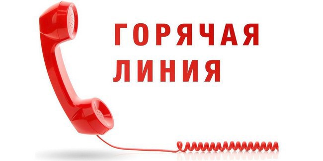 Прокуратура Омска проведет «горячую линию» по вопросам приёма детей в образовательные организации