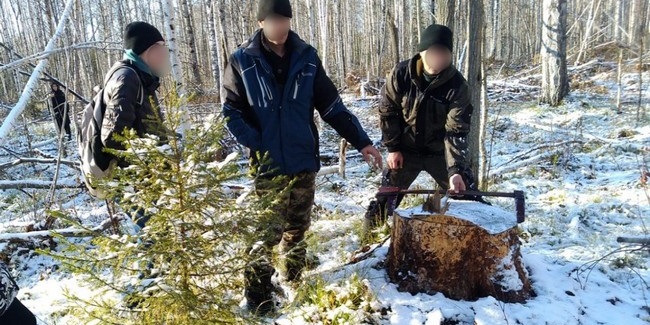 В Омской области суд арестовал отца и сына – Александра и Сергея ОСТАПЕНКО