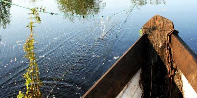 В метре от берега озера Городище в Омской области обнаружено тело рыбака
