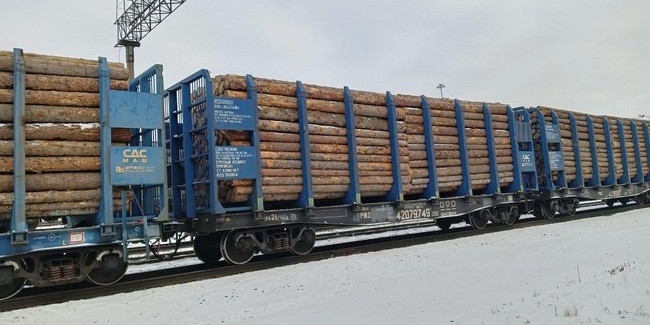 Замдиректора лесхоза Игоря НЕСТЕРОВА и его брата уличили в крупной контрабанде леса