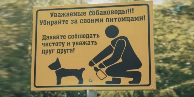 В омском горсовете заинтересовались, как в приютах уничтожаются собачьи фекалии