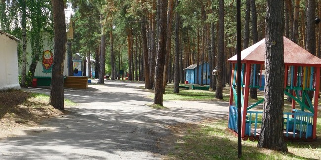 Руководителя детского оздоровительного лагеря «Иртышские зори» ждет служебная проверка