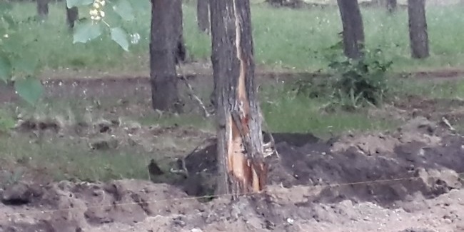 Благоустройство советского парка в омске не обошлось без жертв