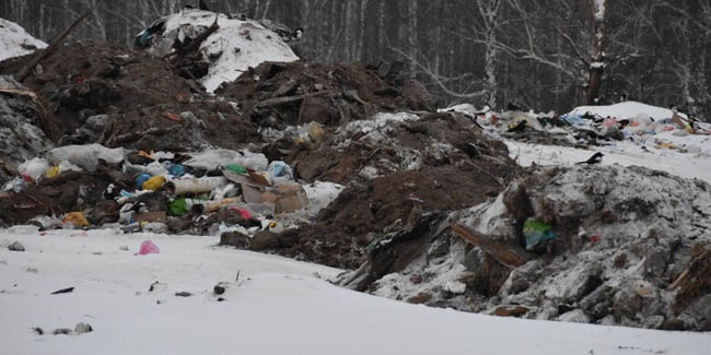 Депутат ТКАЧЕВ потребовал убрать мусорный полигон из Знаменки