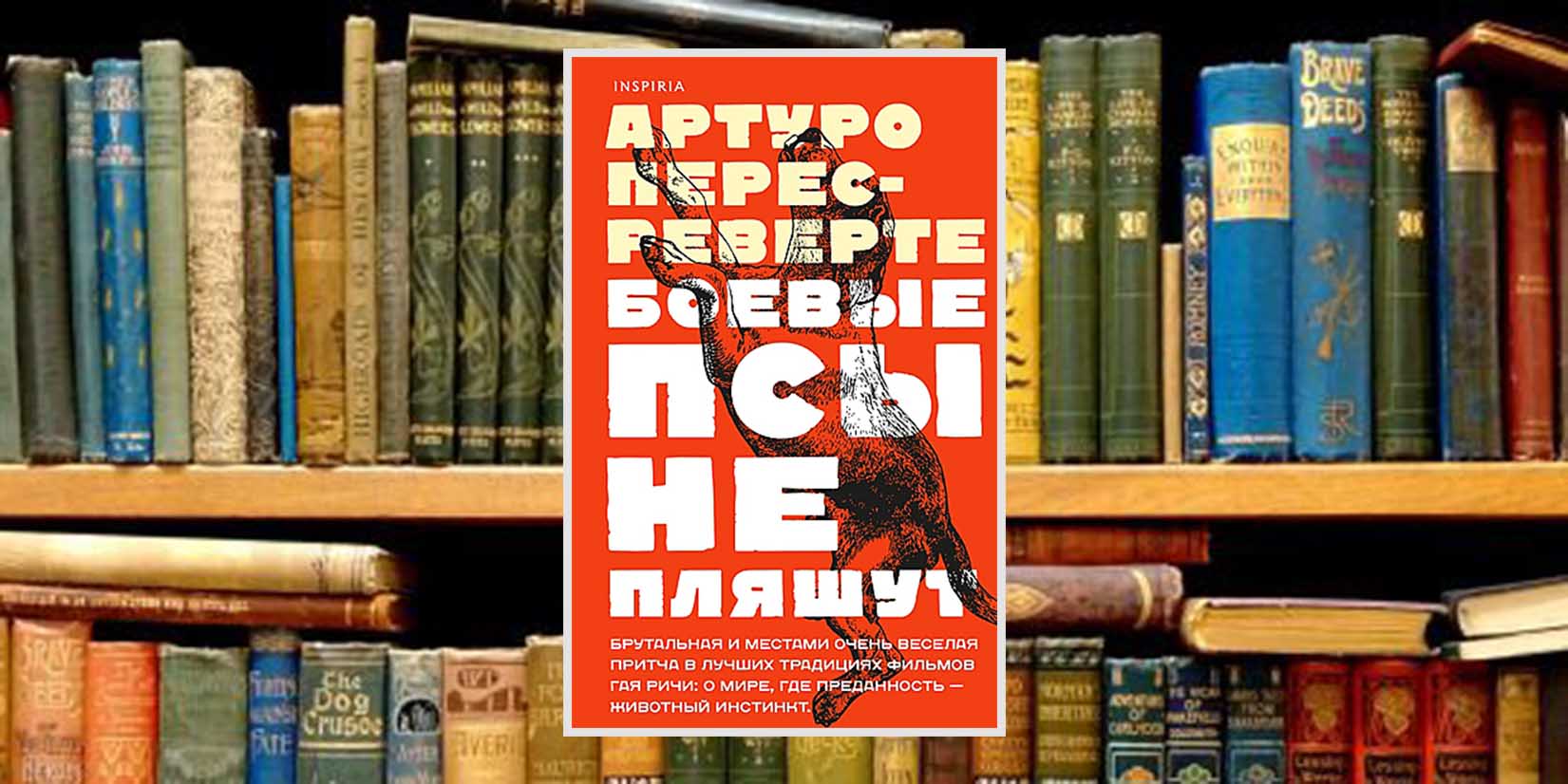 feature-image