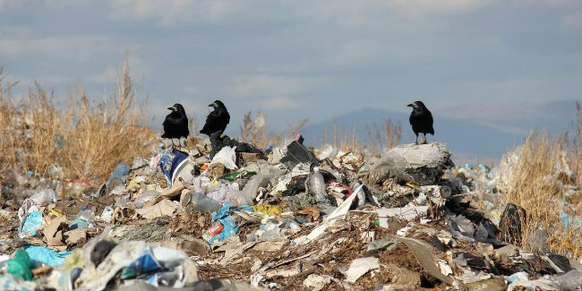 Мэрия омска подготовит проект рекультивации городских свалок