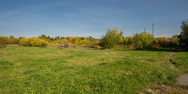 feature-image