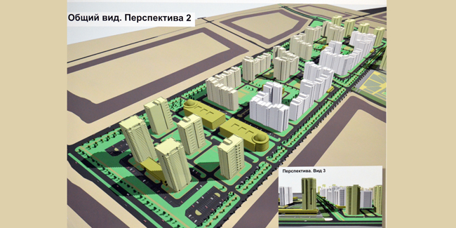 Мэрская кошка скребет на свой хребет?