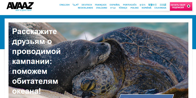feature-image