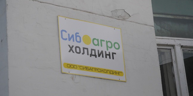 Омский сибагрохолдинг добавит сибири картофеля