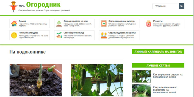 feature-image