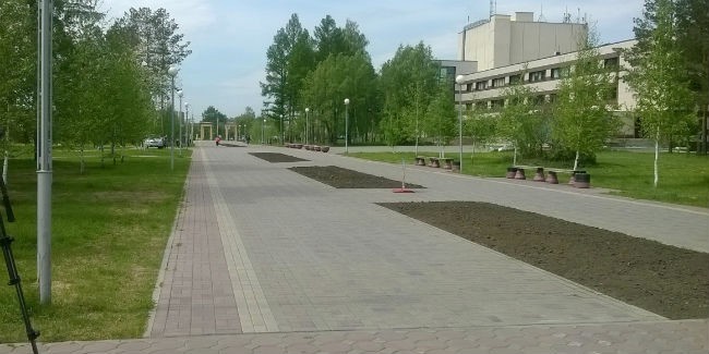 Омские студенты возьмутся за сад «сибирь»