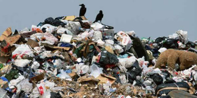 Стоимость переработки коммунальных отходов ввели в методику