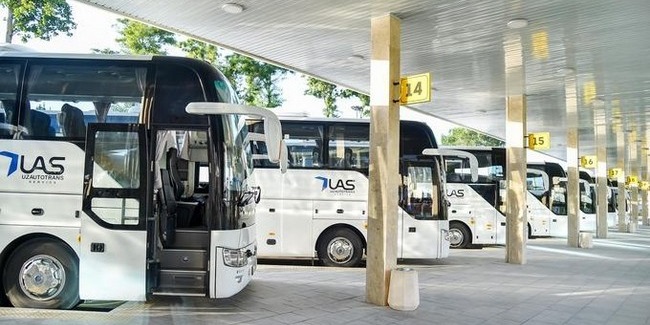 Из ташкента в омск запустят регулярный автобусный рейс