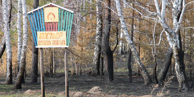 В Омской области продлили не только режим самоизоляции, но и запрет на посещение лесов