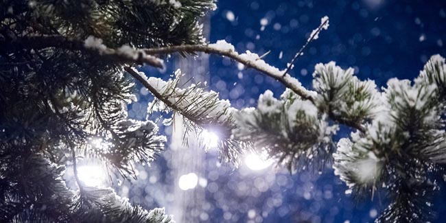В новогоднюю ночь в Омской области ожидается 36-градусный мороз
