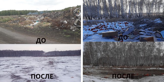 За год сельских районах Омской области уничтожили 18 свалок