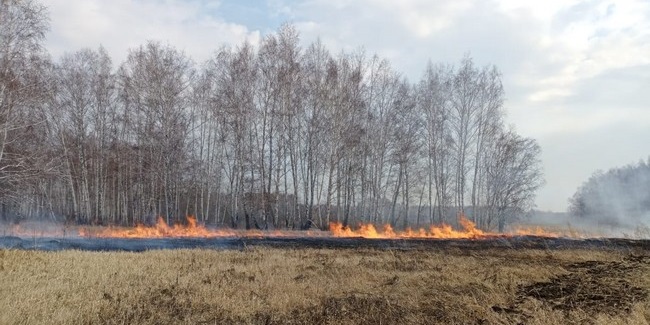 Сразу в 11 районах Омской области начался пожароопасный сезон
