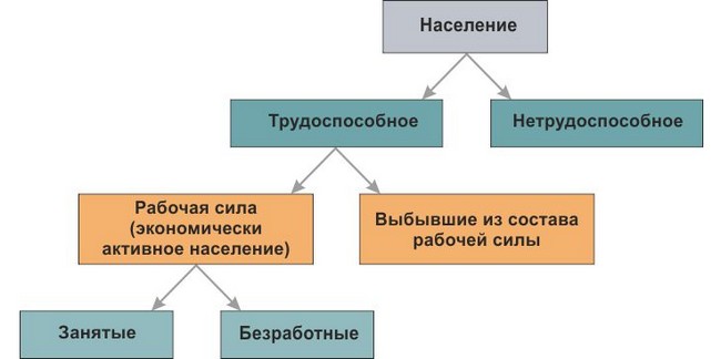 По сравнению с весной прошлого года в омской области сократилась численность рабочей силы
