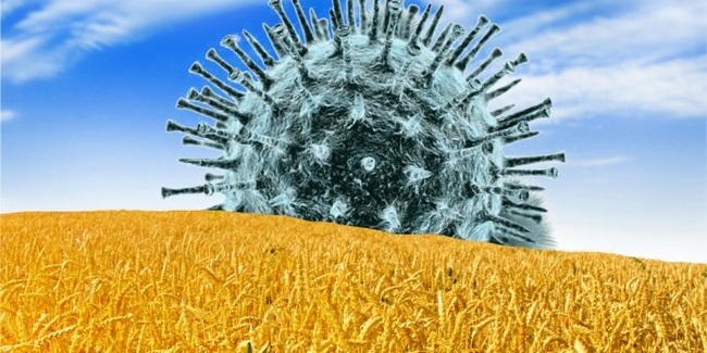 Антирекорд обновился: в Омской области коронавирус выявили у 323 человек (итоги суток)