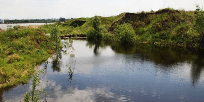 feature-image