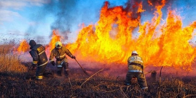 На юге Омской области возникла чрезвычайная пожароопасность