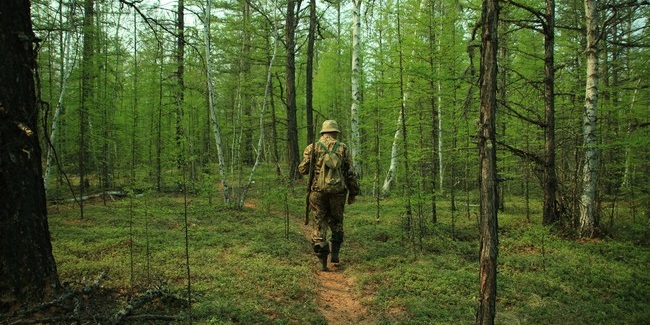 Жителям и гостям Омской области запретили ходить в лес до лета