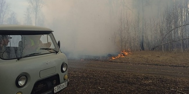 На севере Омской области вторые сутки бушует крупный лесной пожар