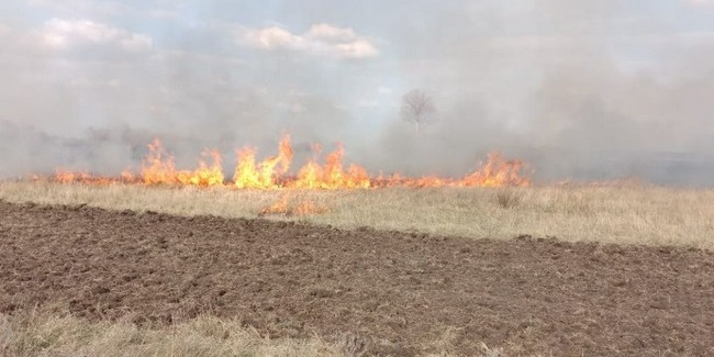 На севере Омской области потушили лесной пожар, бушевавший целую неделю